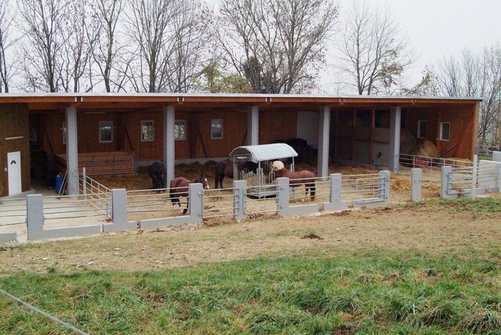 Offenstall in Pixendorf, Einstellplatz frei